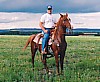 Tiena Gaydi is Purebred Arabian and one of our favorite mares.